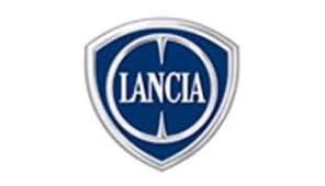 46448104 – MAREA / BRAVA DEBRİYAJ TELİ